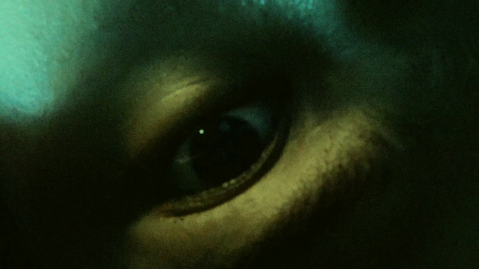 Who frame 06